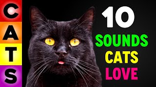 10 Sounds CATS Love & Like To Hear the Most