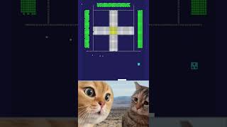 【Catgame】Chipi Chipi Chapa Chapa ? Resimi