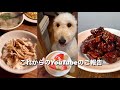 【現状報告】カムバックしました!今後のYouTubeについて...