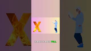 W, X, Y, Z Fun: Water, X-ray, Yacht, Zebra!