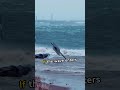 The Rising Giants: How Tsunamis Grow as They Reach the Shore