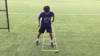 Zigzag crossover Shuffle