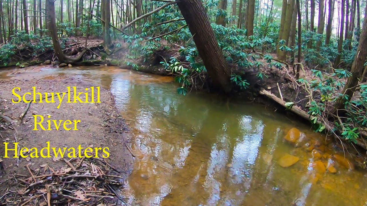 Schuylkill River HEADWATERS - Native Brook Trout