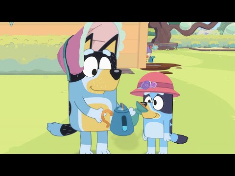 Tata Blue i Bingo uczy CIERPLIWOŚCI! Nowe Odcinki 3 Bluey Całe odcinki Bajki dla dzieci