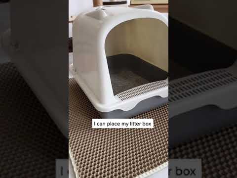 no more brooming 🧹 #pets #petshop #petproducts #petsupplies #petcare #pettok #kitty #catsoftiktok