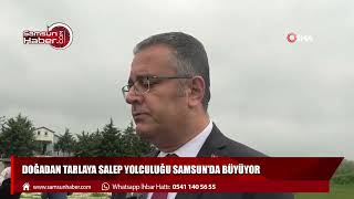 Doğadan Tarlaya Salep Yolculuğu Samsun’da Büyüyor