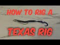 How to rig a Texas rig tutorial #fishing #outdoors #tutorial