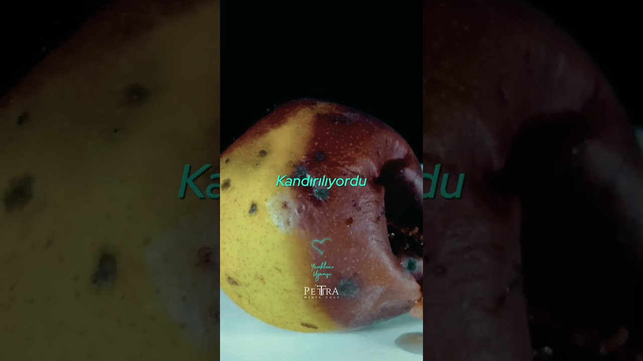 Görünüş Yanıltabilir | Yüreklerin Uyanışı