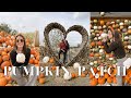 OUR FIRST PUMPKIN PATCH IN ITALY | FALL VLOG
