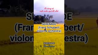 SERENADE (Franz Schubert/violon & orchestra) #serenade #franzschubert #violon #dinhlevan