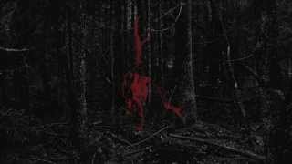 Fleshworld - Hereinafter