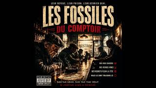 Les Fossiles Du Comptoir