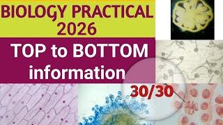 SECOND PUC BIOLOGY PRACTICALS 2024-2025 # 2nd PUC BIOLOGY PRACTICALS # BIOLOGY LAB EXPERIMENTS #Viva