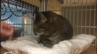 Meet Sammy! (#257964)