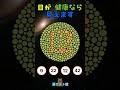 この数字が見えますか？｜石原式 色覚テスト 色盲チェック