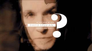 Miniatura de vídeo de "David Sylvian - Do You Know Me Now?"