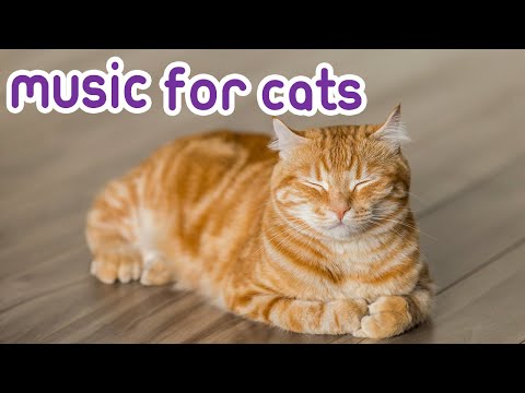 cat-music!-anti-anxiety-melodies-for-cats!-2018