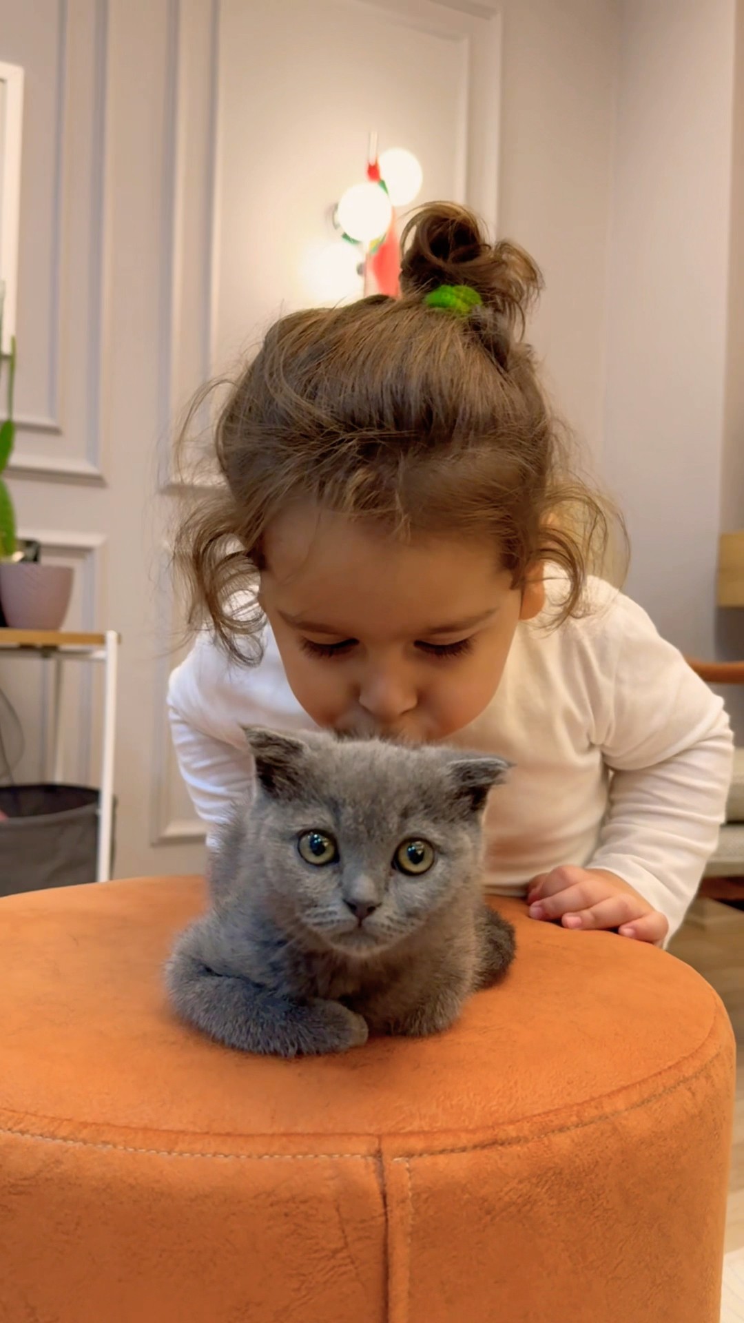 Cute ❤️?‍⬛ #cat #cats