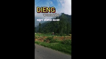 DIENG WONOSOBO NEGERI DI ATAS AWAN,dieng jalur teh tambi