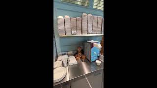 Video for CIA externship application   SD 480p