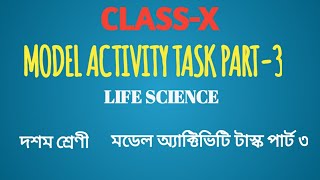 Class x life science model activity task part 3 // জীবন বিজ্ঞান