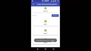 Android Sectioned RecyclerView Demo screenshot 2