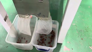 Small Color Sorter Machine For Sorting Musty Cocoa Beans