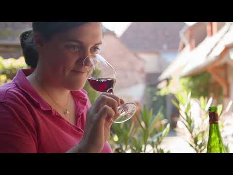 La Ruta de los Vinos de Alsacia