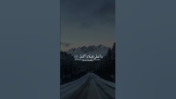 (أفرءيت الذي تولى) سورة النجم القارىء عكاشة كميني