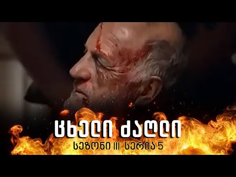 ცხელი ძაღლი | სეზონი 3 სერია 5