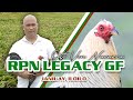 Farm visit  rpn legacy gamefarm of otto von navarra ray alexander roundhead