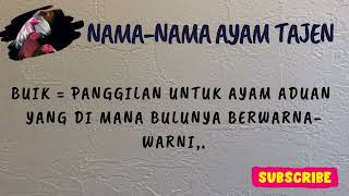 Namanama Ayam Tajen Bali