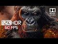 Earth's Insane Look in 12K HDR 60fps - Dolby Vision