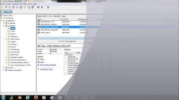 Döcu Content DDE DB2 SQL Constraint Xpages Test