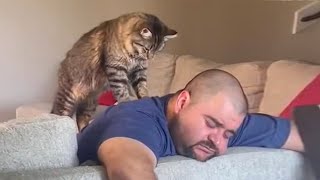 Sweetest Cats And Owner Moments Will Melted Everyone's Hearts  Cutest Cat Ever!!