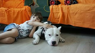 Tyson Sonunda Bilge Kağanın Yanında Bilge Kağan Elini Kapıya Sıkıştırdı