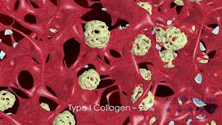 MEDICAL MOA DEMONSTRATION VIDEO.  MEDICAL MOLECULAR VIDEO.