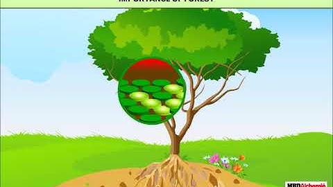 Forest | Natural Resources | Class 7