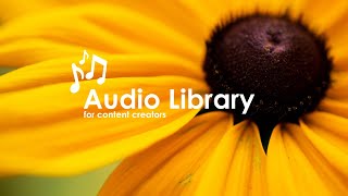 Sunny Morning Music - Relaxing, Peaceful, Smooth Music - No Copyright Music screenshot 5