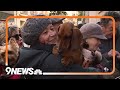 Thousands of pets blessed at church