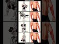"Power Up Your Arms: Strengthening Workout for Toned, Strong Upper Body.