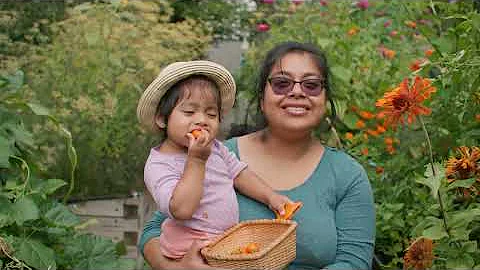 New York Restoration Project: 30 Years of Transformation