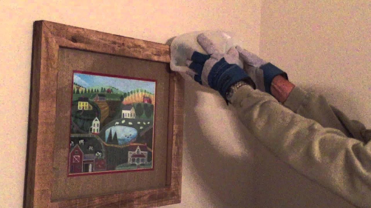How to Remove a Bat from Your Home - YouTube