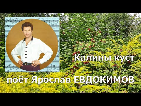 Ярослав Евдокимов - Калины куст