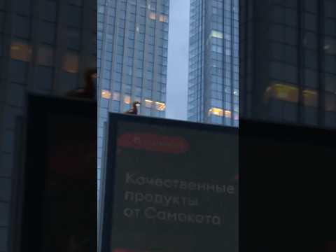 Видео: Москва Май Утка #москва #май #утка #best #shorts