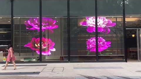 P3 91 Transparent LED Screen