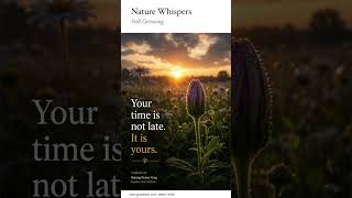 V04_Your Time is not Late