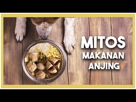 Video: 4 Mitos Alahan Makanan Anjing