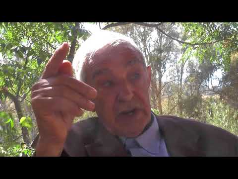 المجاهد زقاري رابح بن محمد