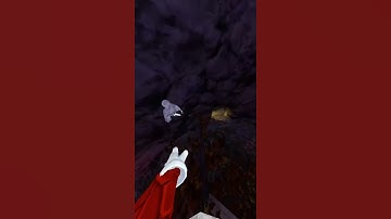 Footage of the 1v1 I  Did with a subscriber  #gorillatag #gorillatagquest #gtag #vr #gorilla #funny